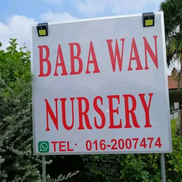 BabaWan_Nursery