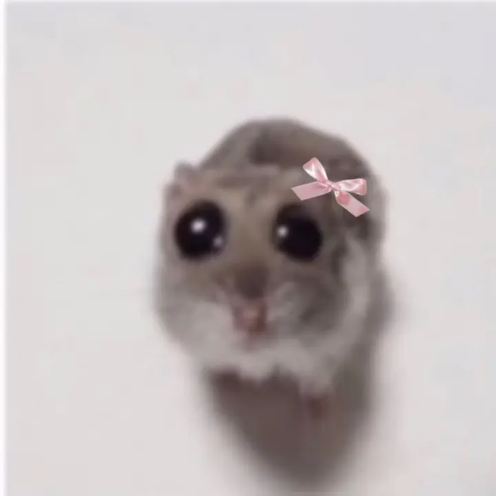 🤨Rozaaaaa🤨