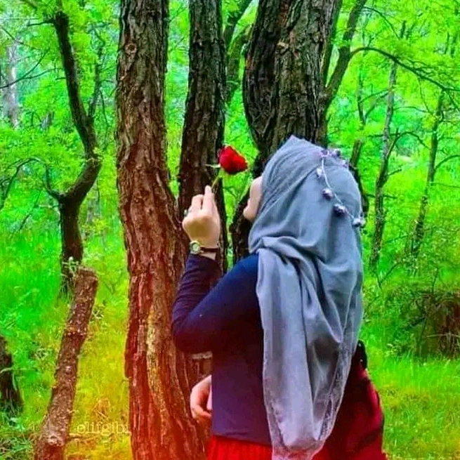 🌺🥀🌿🌼 LELAH 🌼🥀🌿🌺