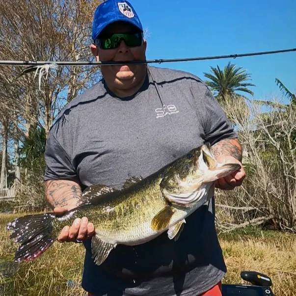 WYD Fishing