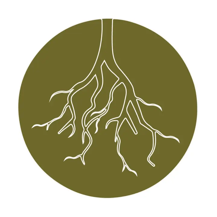 DIRTY ROOTS Berlin