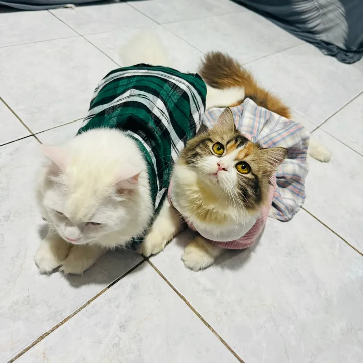 Kevin 'khid' Raymund