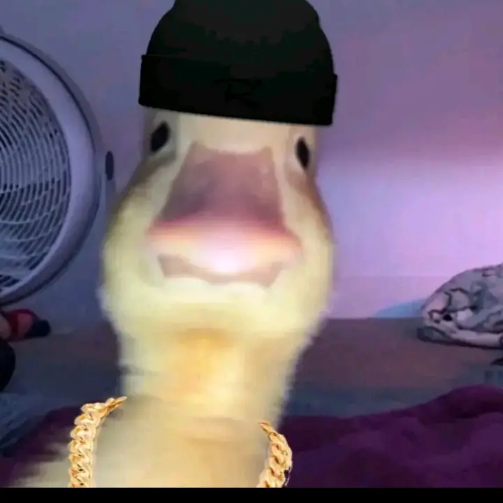 el Pana kevin