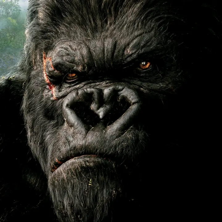 🦍ᴋɪɴɢ 🦍 ᴋᴏɴɢ🦍