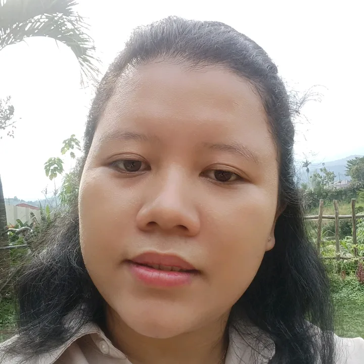 Lilis Sari Manurung