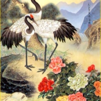 Hoa Điểu Đầu Tư