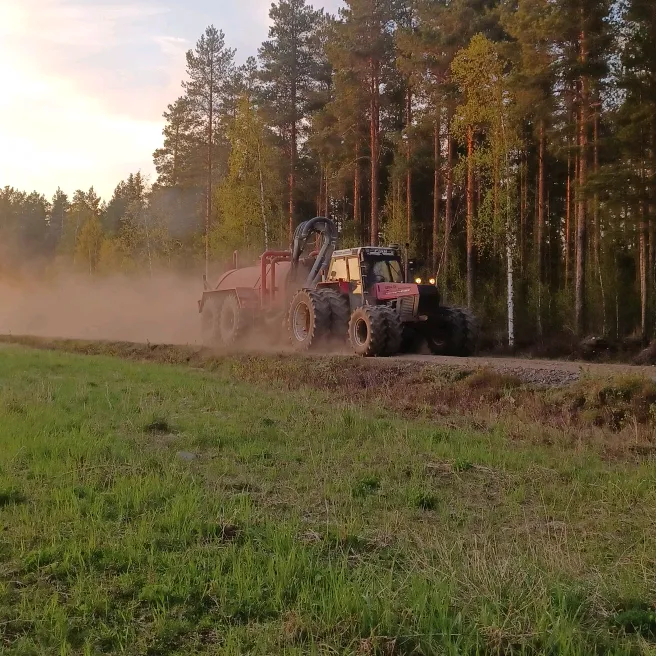 kalevi