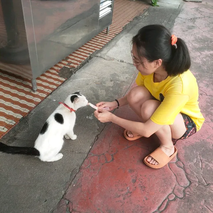 amysayangmeow
