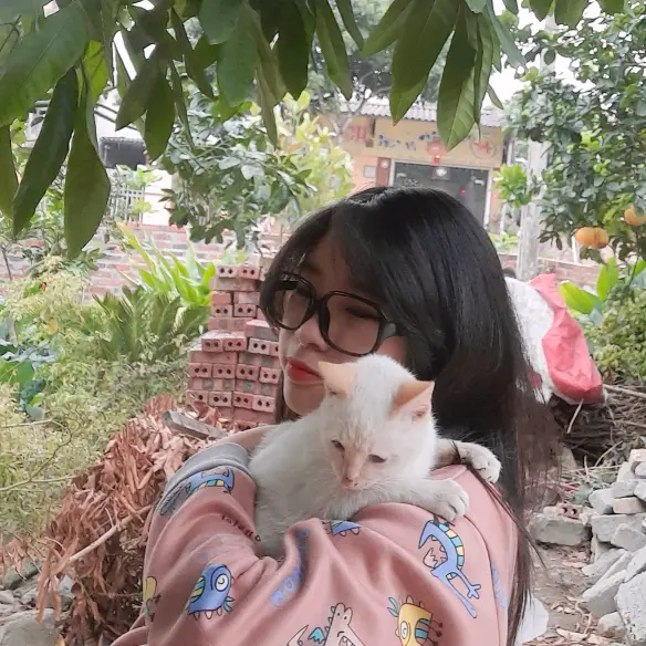 Hiên (市场)😺