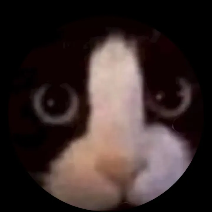 👍🏿