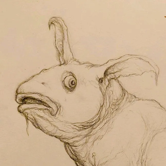 hrafnsunnaart (they/them)