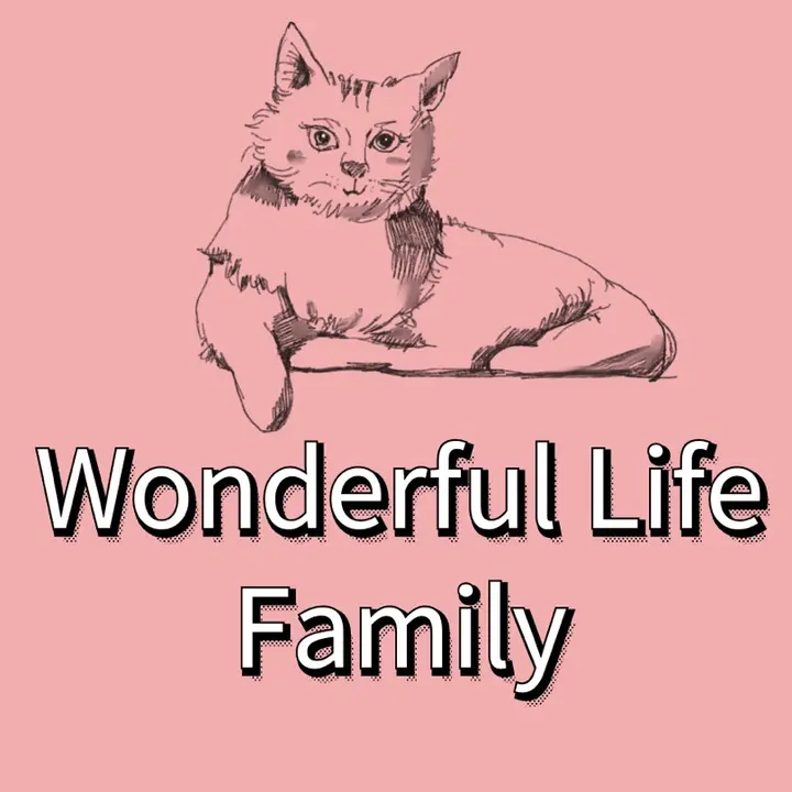 Wonderful Life Family