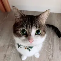 KOTARO FAN