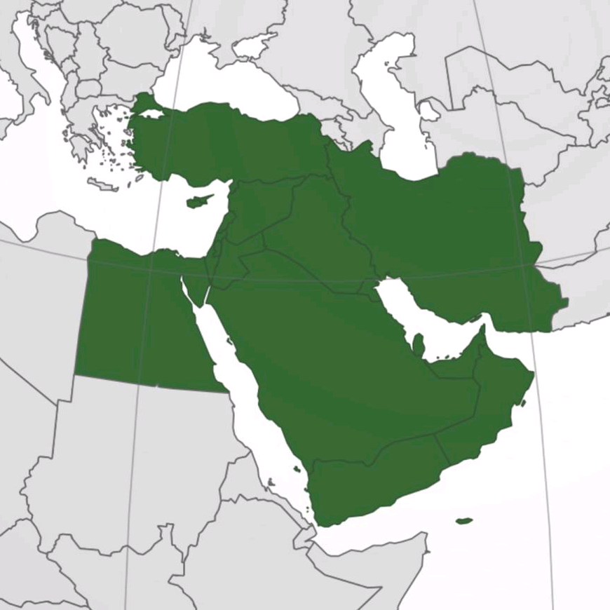 منذر الصالح