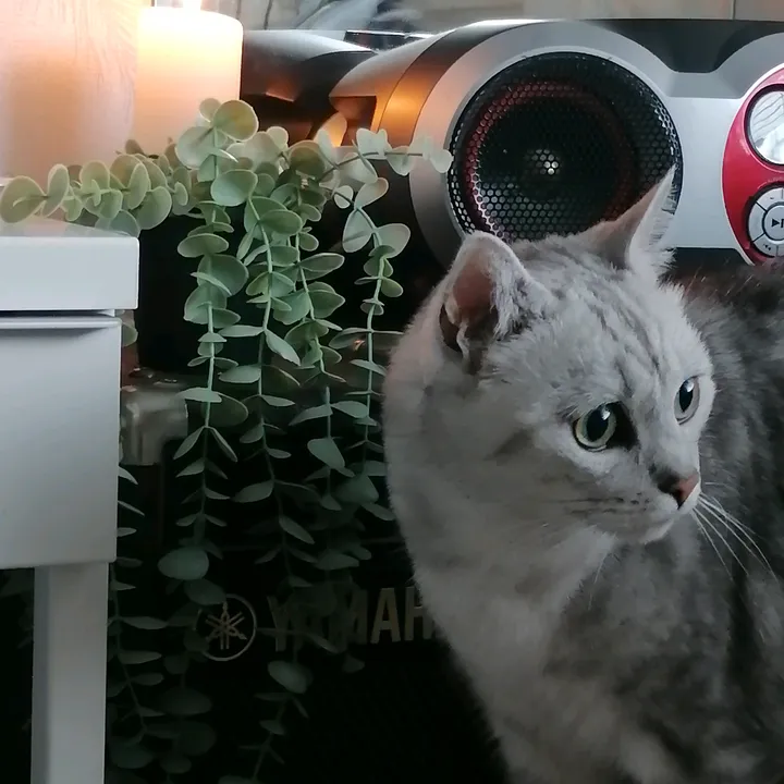 ₊⋆ Adeline☆☕🌠