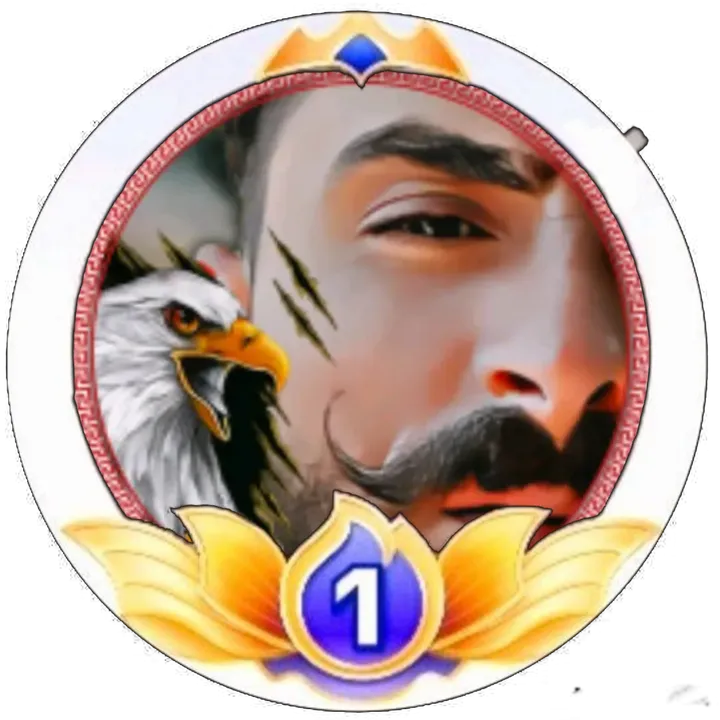 ابو شنب داعم حسابات 811