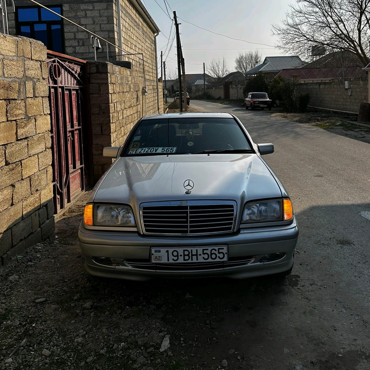 Ezizov_565
