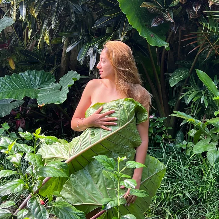 Shima Travel Secrets