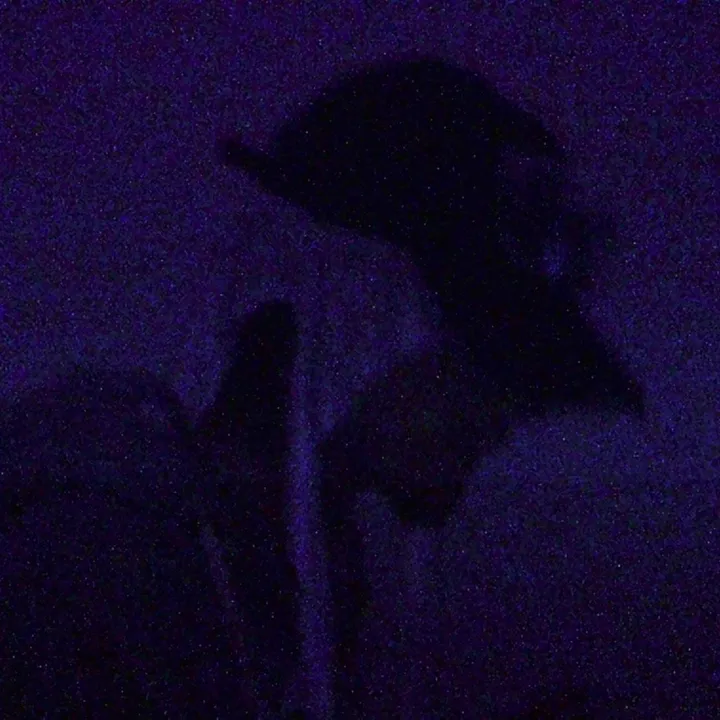 ODE