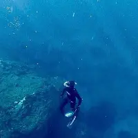 Dreams Made Of Adventures