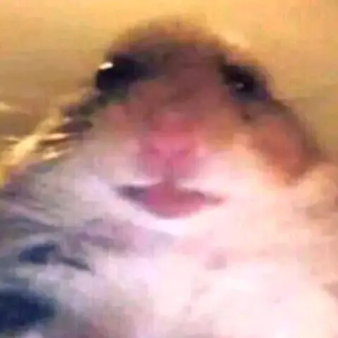 King D. Panja