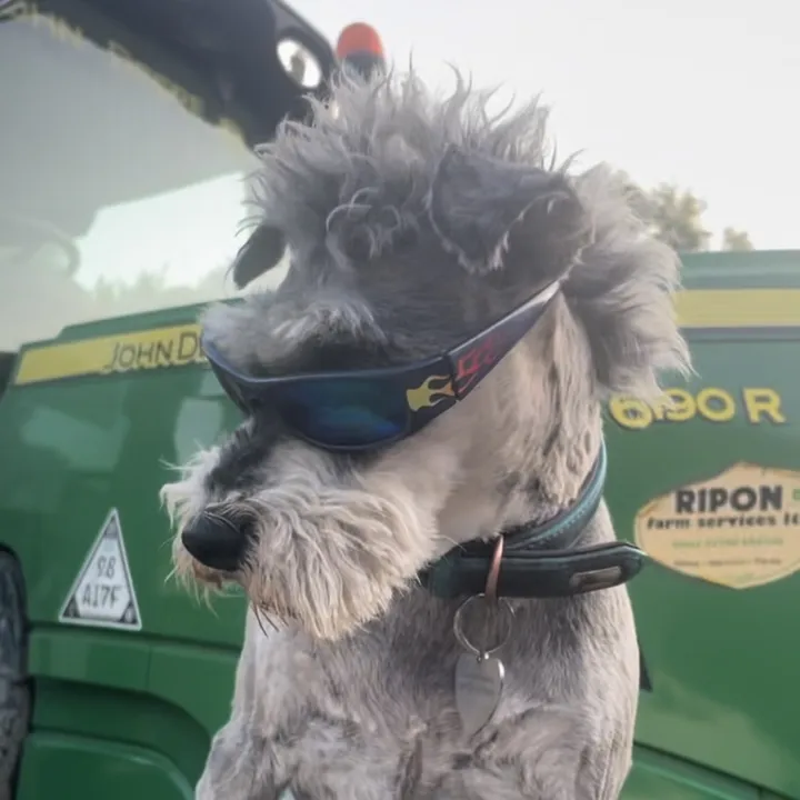Farmer__AL