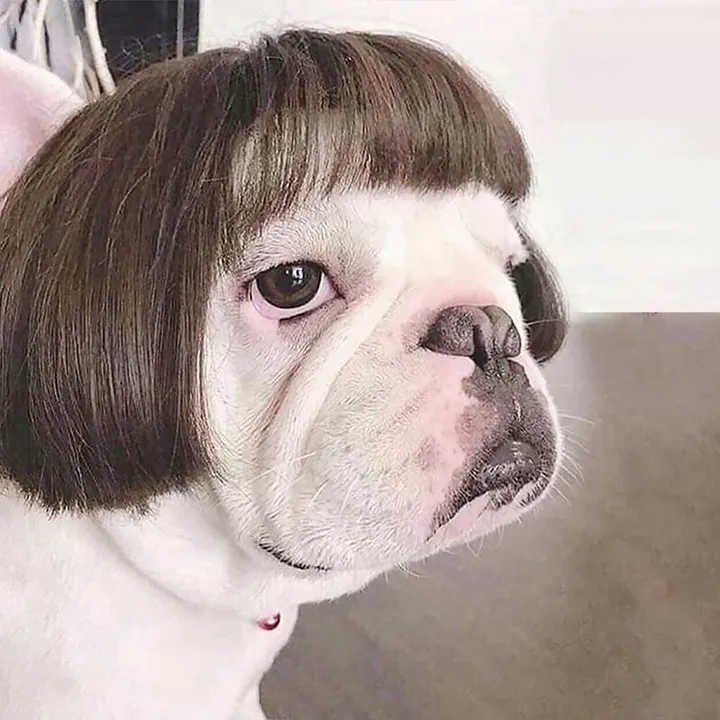 Tonton foufou 🤪