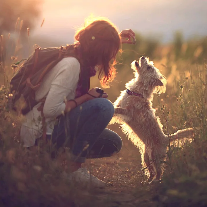 littlelionbaby520.USA