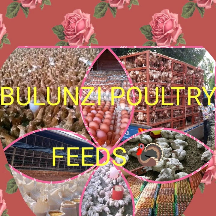 BULUNZI🦃🇧🇭🇧🇭QATAR