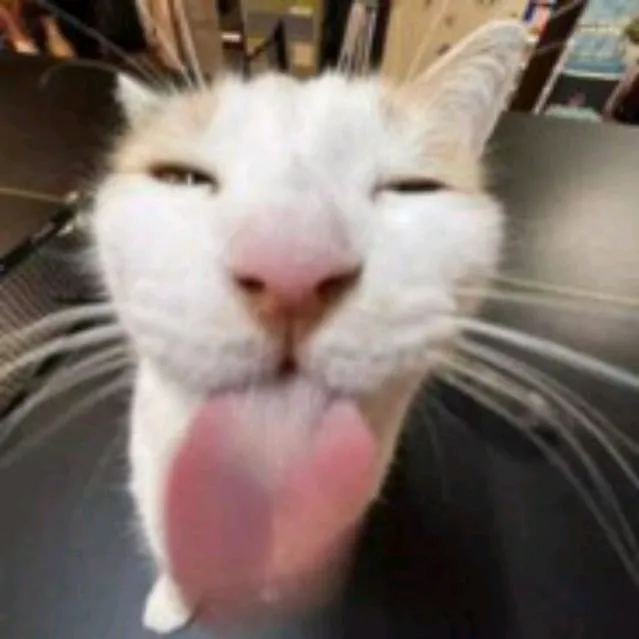 яспать давайте идите нахуй все