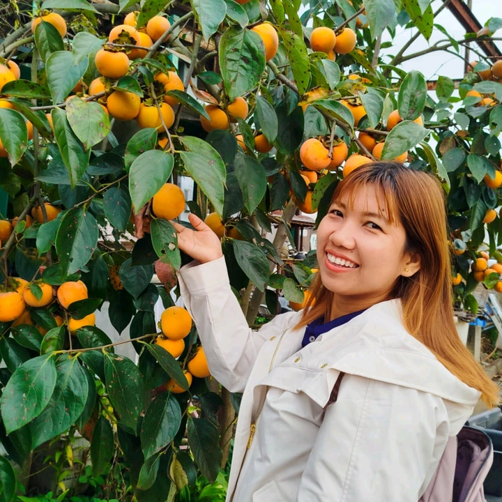 🇲🇲Soe Soe Nwe🇯🇵🏝️