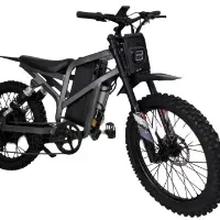 Electric riding