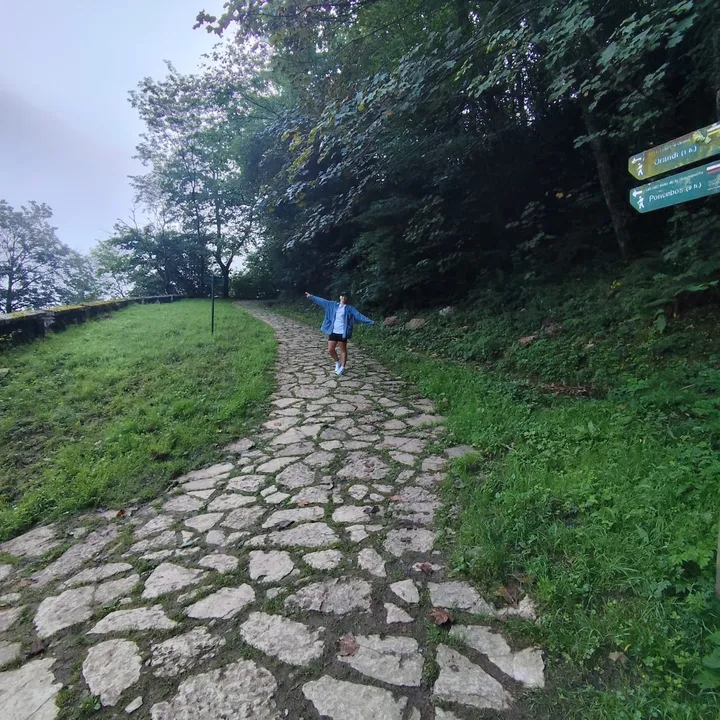 DORI 👩🏽‍🏫