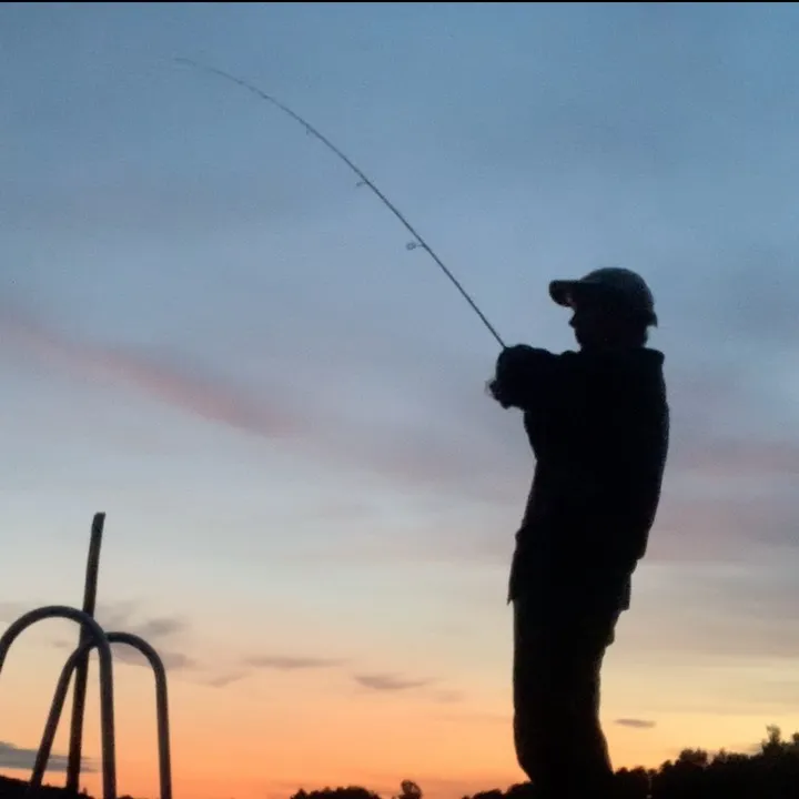 FishyAleks