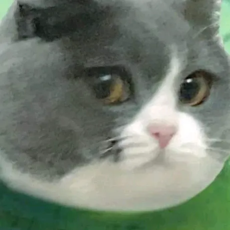 ซอกเล็บขบ