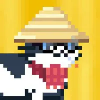 cryptoji
