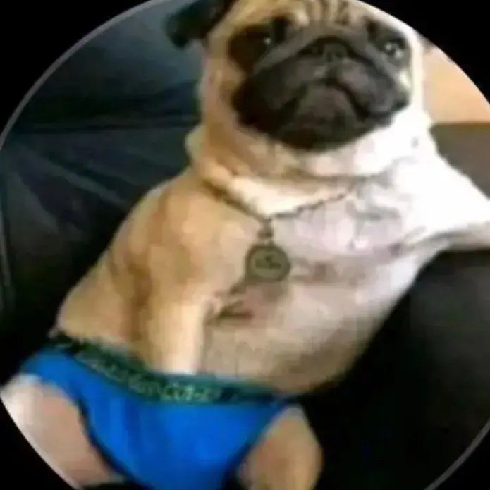 weasordinarias