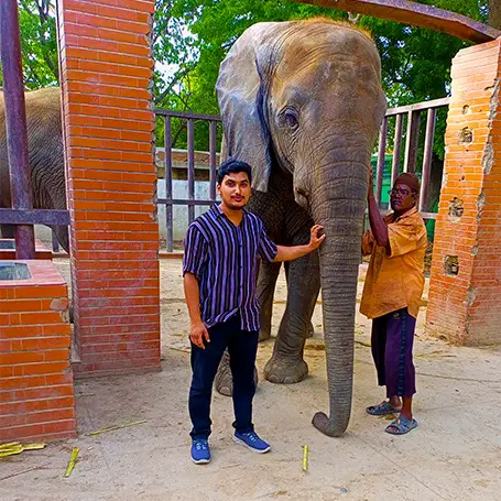 The Jungle Ghar