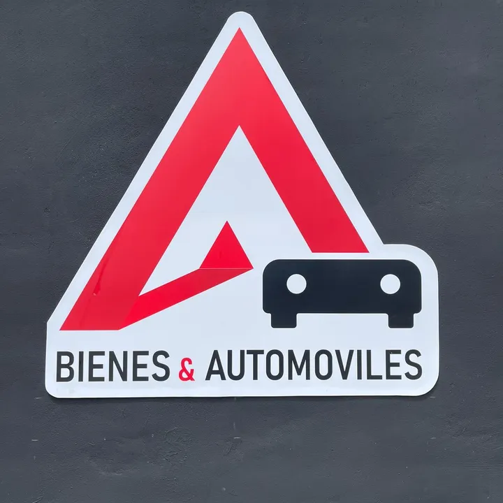 Bienes y Automoviles