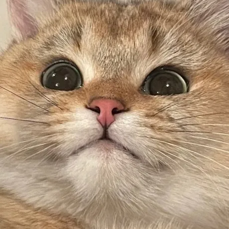 มาวมาวลี