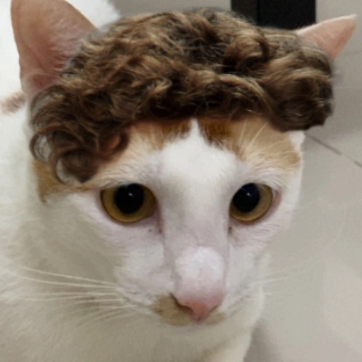 Racun Tiktok Kayaball 🐈✨