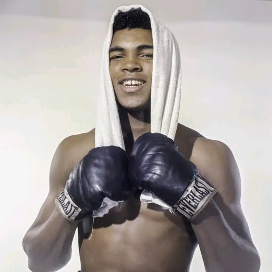 DRAMA BOXING