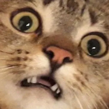 Pengabdikochengg