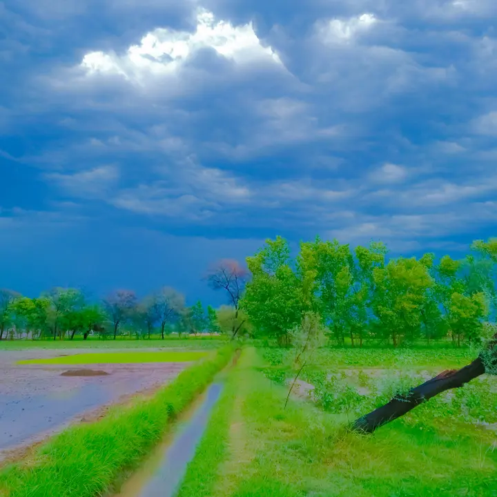 𝙂𝙪𝙡𝙖𝙗 𝘼𝙡𝙞