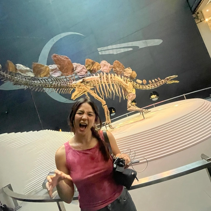 ☆*:.｡. o(≧▽≦)o .｡.:*☆