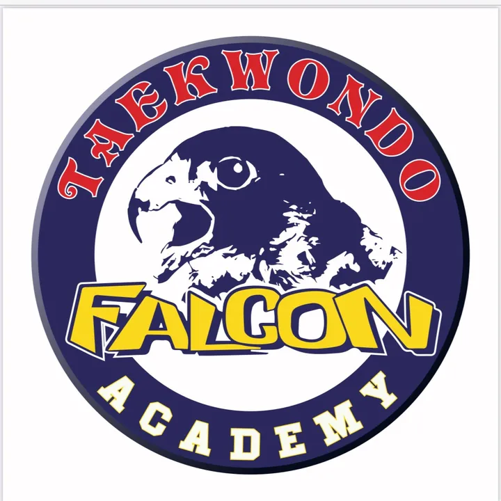 Falcon Academy