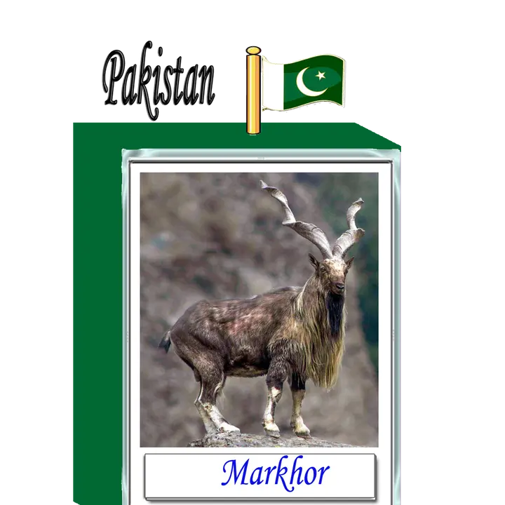 Shah