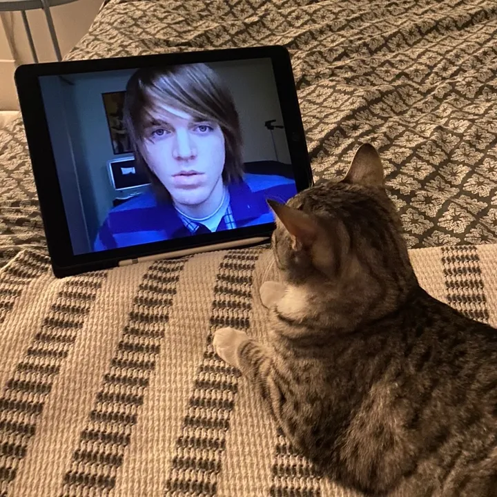Ollie