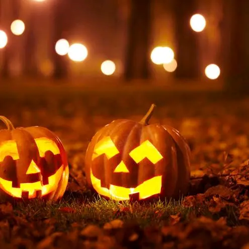 🎃 halloween Ideas 🎃