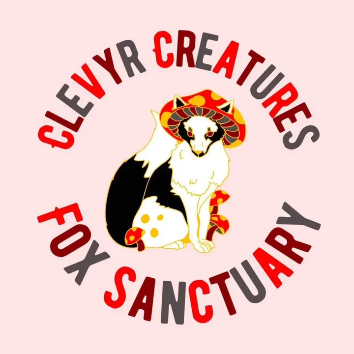 Clevyr Creatures Fox Sanctuary